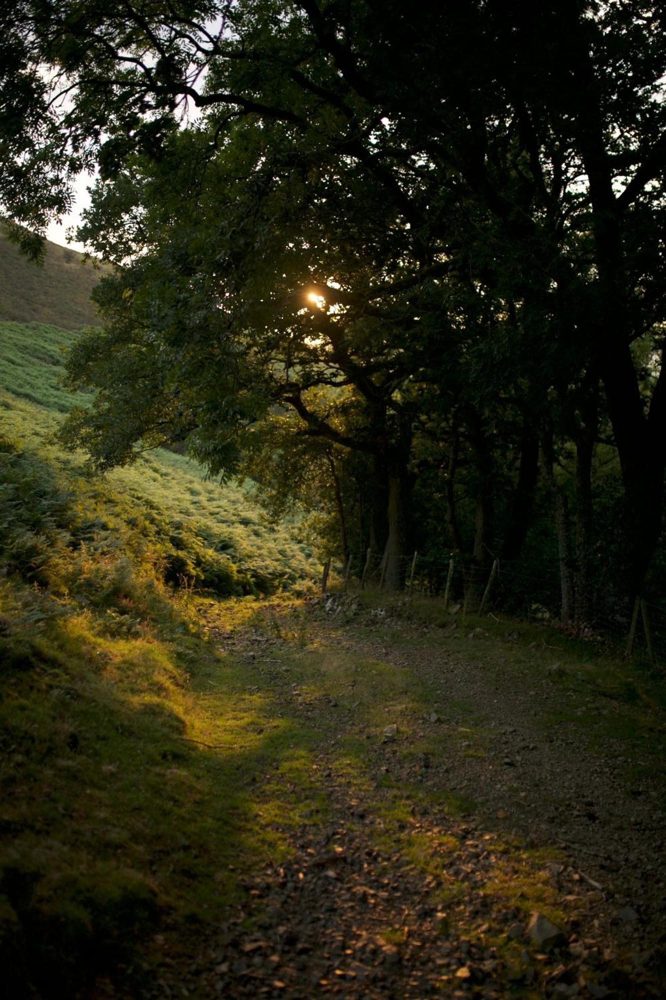 Two Unique Cabins Wrapped In Beautiful Welsh Scenery Presteigne Dış mekan fotoğraf