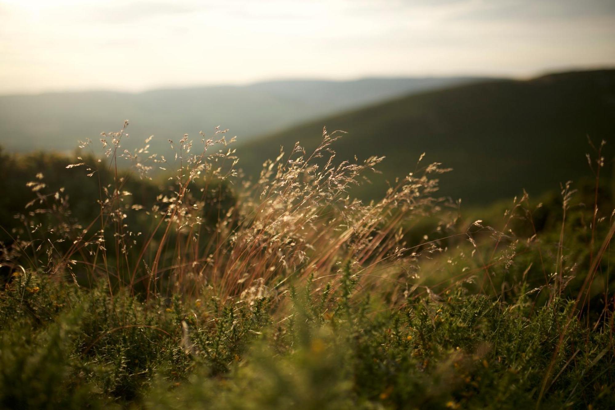 Two Unique Cabins Wrapped In Beautiful Welsh Scenery Presteigne Dış mekan fotoğraf